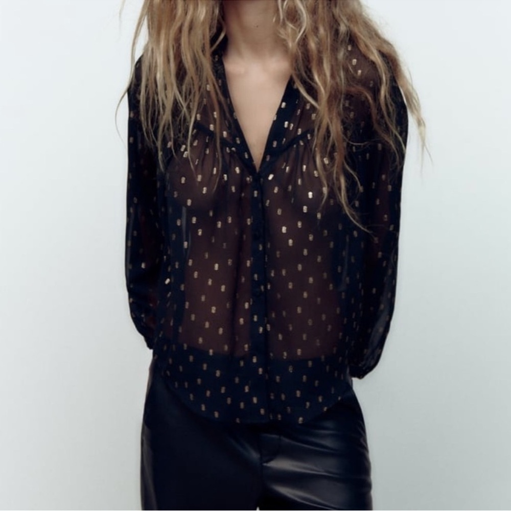 Zara Metallic Polka Dot V-Neck Drapey Blouse
